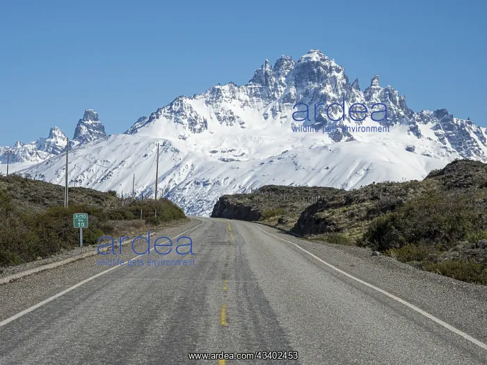 : Snow-capped Mt. Cerro Castillo, rural road to Puerto : Snow-capped Mt. Cerro Castillo, rural road to Puerto