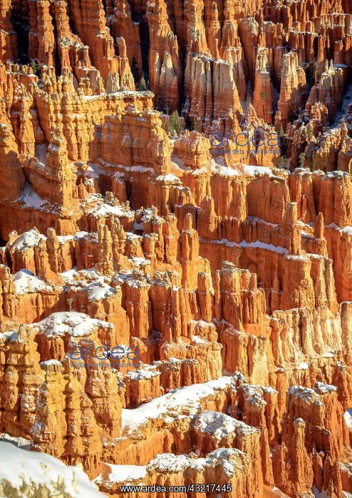 : Snow-covered bizarre rocky landscape with Hoodoos : Snow-covered bizarre rocky landscape with Hoodoos