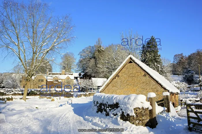 : Snow covered Houses : Snow covered Houses