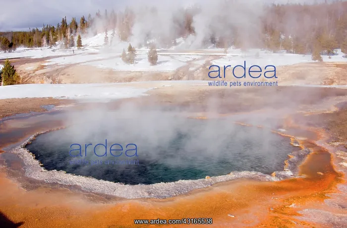 : Snow-covered landscape with geyser