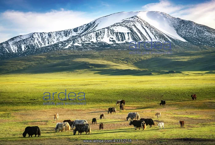 : Snow-covered Mount Tsengel. Western Mongolia : Snow-covered Mount Tsengel. Western Mongolia
