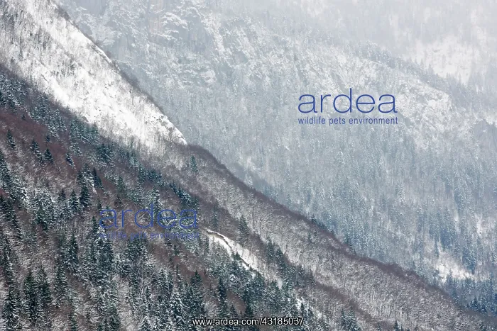 : Snow covered mountain landscape : Snow covered mountain landscape