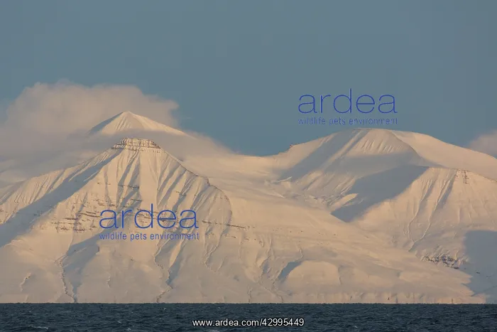 : Snow-covered mountain range at Billefjord - Svalbard : Snow-covered mountain range at Billefjord - Svalbard