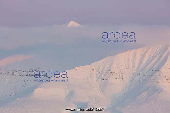 : Snow-covered mountain range at Billefjord - Svalbard : Snow-covered mountain range at Billefjord - Svalbard