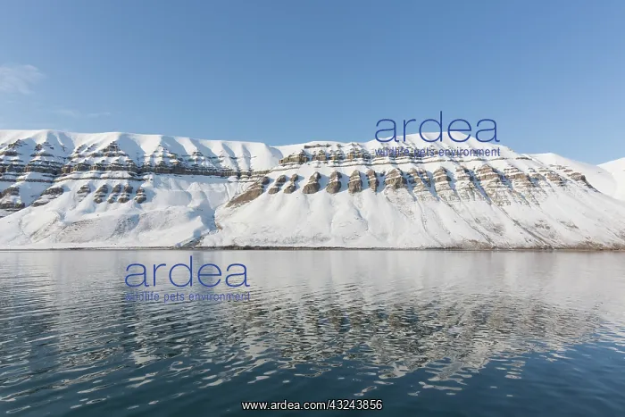 : Snow-covered mountain range at Billefjord - Svalbard : Snow-covered mountain range at Billefjord - Svalbard