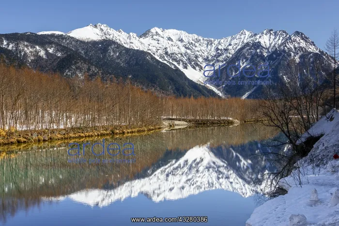 : Snow-covered mountains at a lake, Japanese Alps : Snow-covered mountains at a lake, Japanese Alps