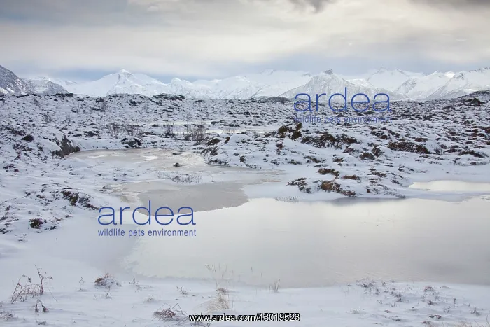 : Snow covered Mountains in winter : Snow covered Mountains in winter