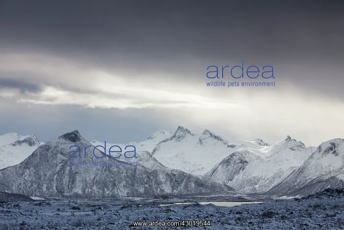 : Snow covered Mountains in winter : Snow covered Mountains in winter
