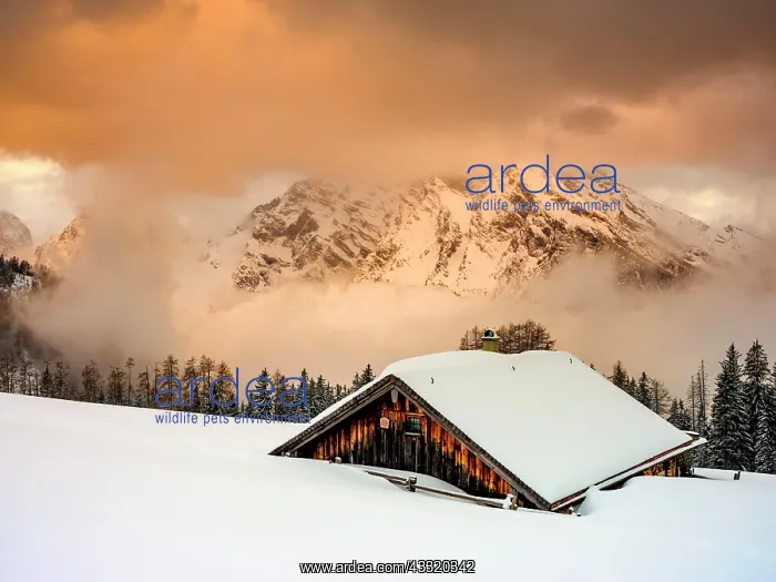  : Snow-covered Priesbergalm in front of cloud-covered