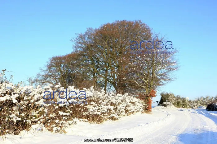: Snow covered Road : Snow covered Road