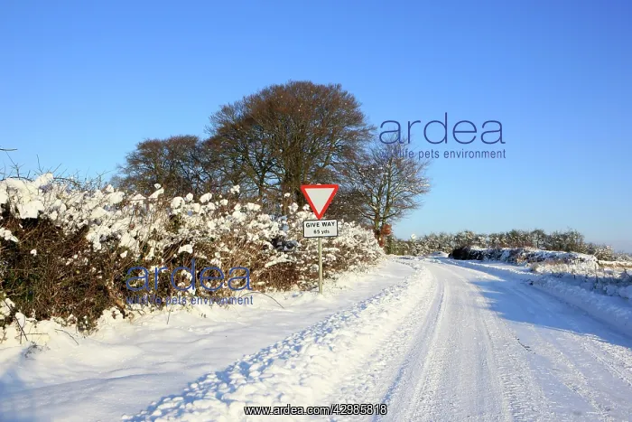 : Snow covered Road
