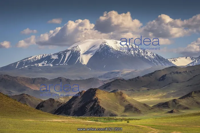 : The snow-covered Tsengel Khairkhan, Alktai Mountains : The snow-covered Tsengel Khairkhan, Alktai Mountains