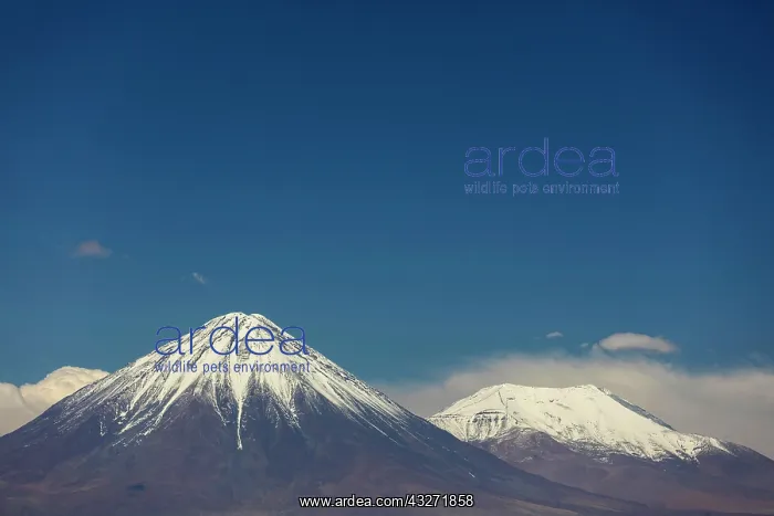 : Snow covered volcano Sairecabur, San Pedro de Atacama : Snow covered volcano Sairecabur, San Pedro de Atacama