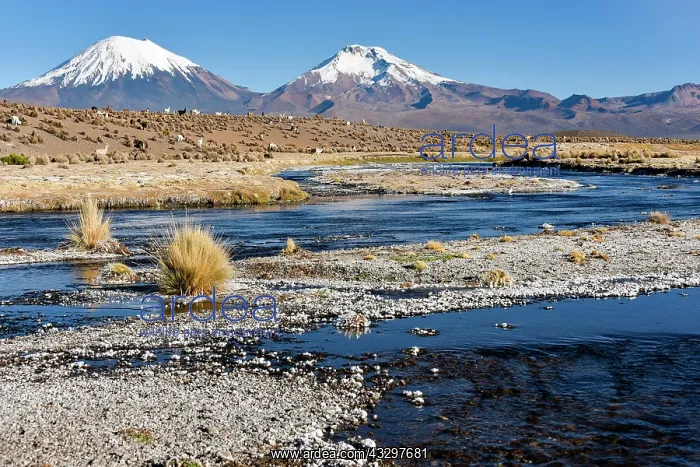 : Snow-covered volcanoes Pomerape and Parinacota with : Snow-covered volcanoes Pomerape and Parinacota with