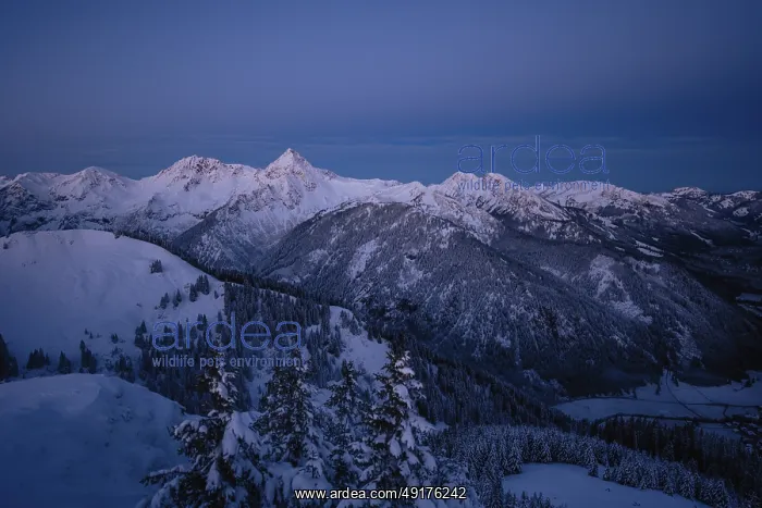 : Snow-covered windscape in the Alps at Neunerkopfle in the Tannheimer Tal in Tyrol : Snow-covered windscape in the Alps at Neunerkopfle in the Tannheimer Tal in Tyrol