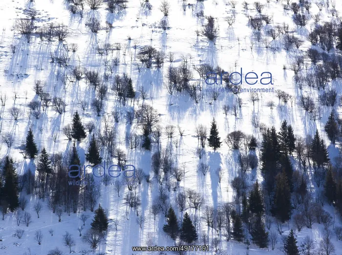 : Snow covers the ground in Cantal : Snow covers the ground in Cantal