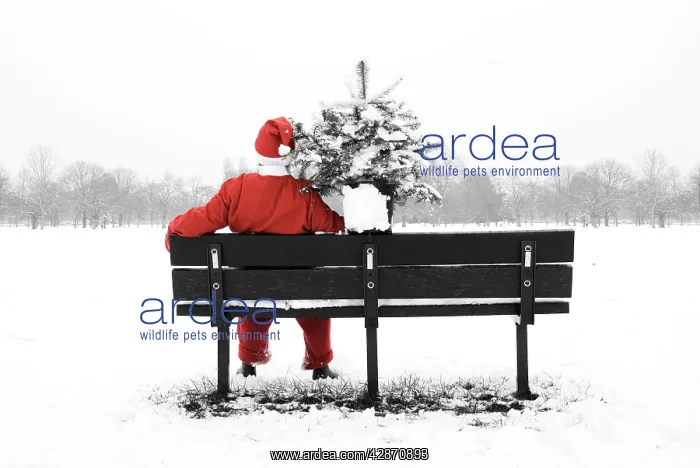 : Snow - Father Christmas sitting on park bench with : Snow - Father Christmas sitting on park bench with