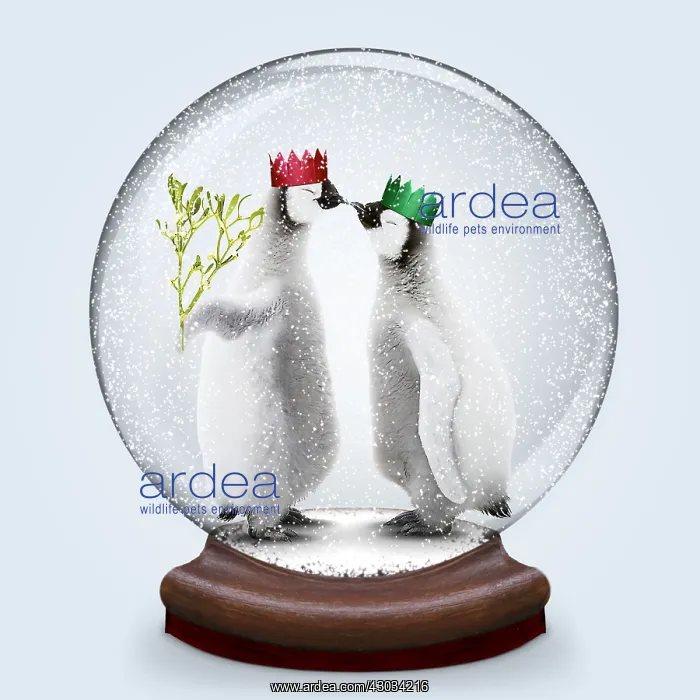  : Snow globe of Penguins kissing under mistletoe