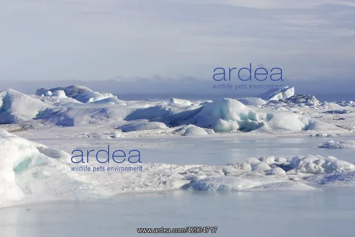  : Snow Hill Island - Antarctic Pennisular