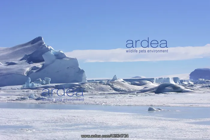  : Snow Hill Island - Antarctic Pennisular