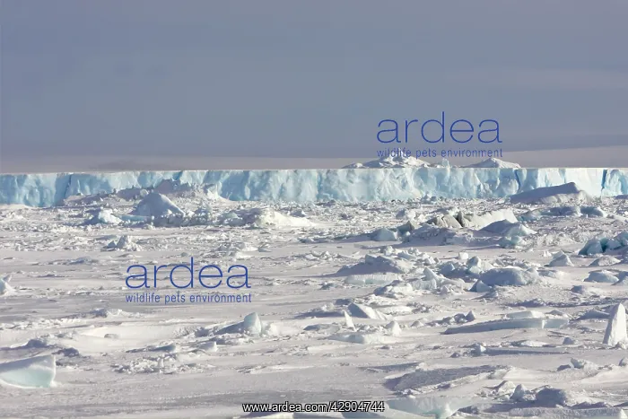  : Snow Hill Island - Antarctic Pennisular