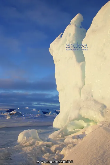  : Snow Hill Island - Antarctic Pennisular
