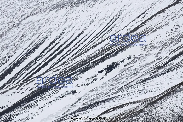 : Snow Structures at the mountains of Adventdalen : Snow Structures at the mountains of Adventdalen