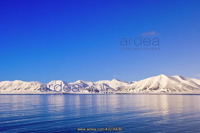 : Snowcapped peaks Woodfjord Svalbard Archipelago : Snowcapped peaks Woodfjord Svalbard Archipelago