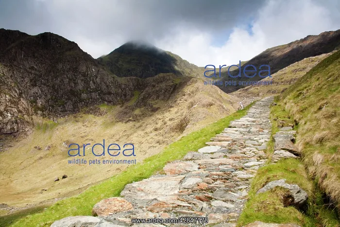: Snowdon - Miner's track or path : Snowdon - Miner's track or path