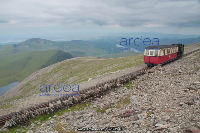 : Snowdon Mountain Railway and the Llaneberis : Snowdon Mountain Railway and the Llaneberis