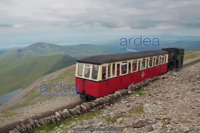 : Snowdon Mountain Railway and the Llaneberis : Snowdon Mountain Railway and the Llaneberis