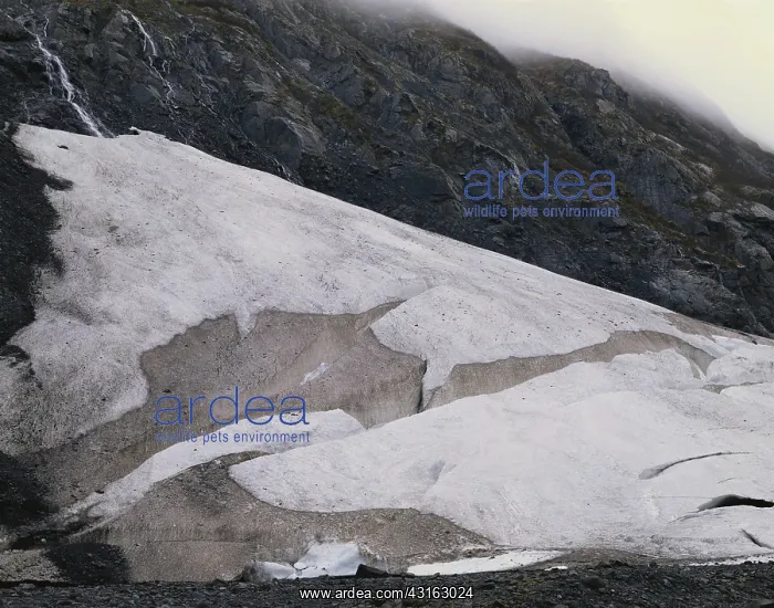 : Snowfield in Alaska : Snowfield in Alaska