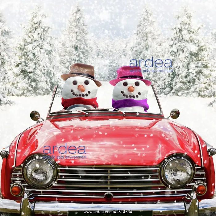 : Snowman Mr and Mrs driving car through Christmas winter scene : Snowman Mr and Mrs driving car through Christmas winter scene