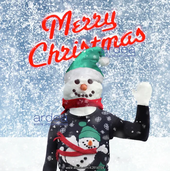 : Snowman with Christmas jumper scarf and hat in winter snow scene Digital Manipukation : Snowman with Christmas jumper scarf and hat in winter snow scene Digital Manipukation