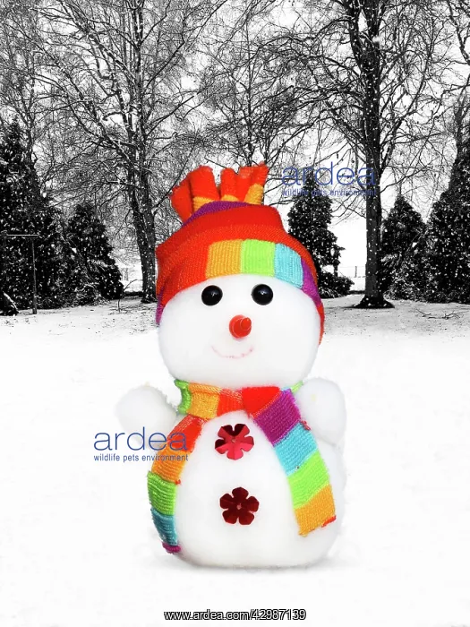 : Snowman : Snowman