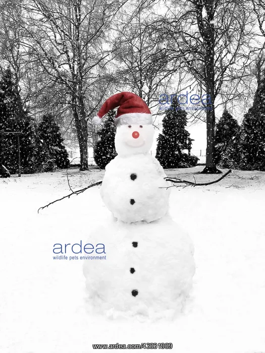 : snowman