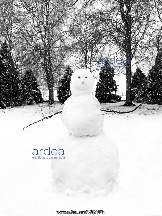  : snowman