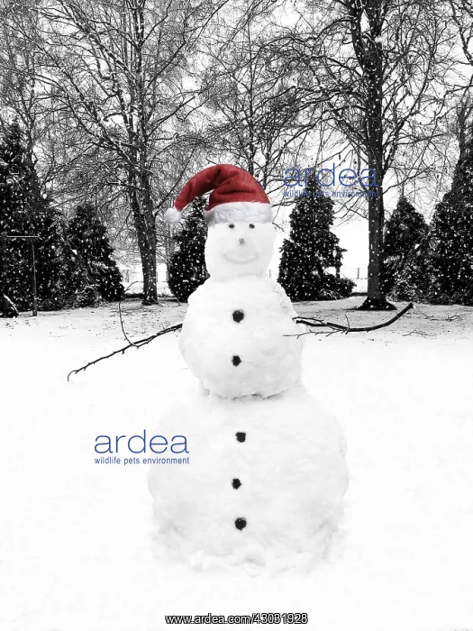  : snowman
