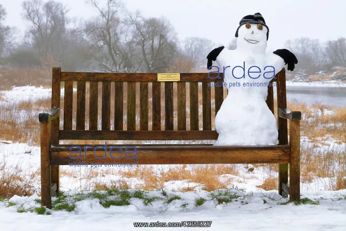 : Snowman on a bench, Middle Elbe Biosphere Reserv : Snowman on a bench, Middle Elbe Biosphere Reserv