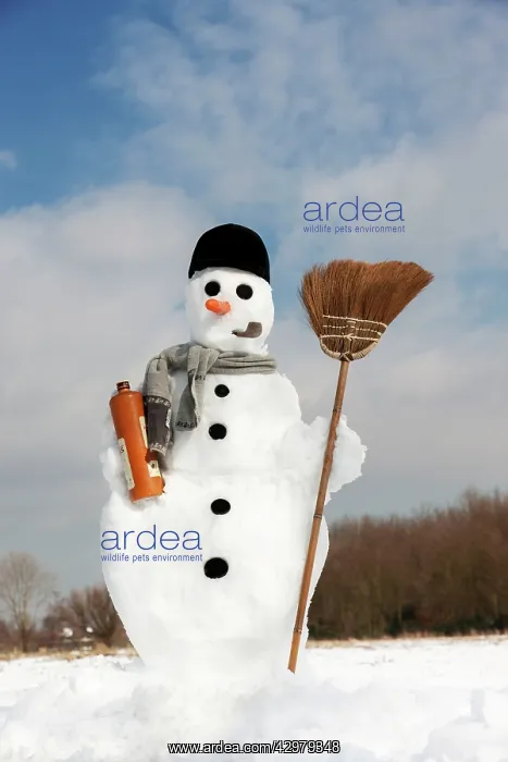 : Snowman - with broom and bottle of Gin in snow landscape : Snowman - with broom and bottle of Gin in snow landscape