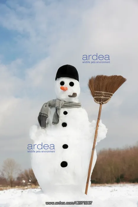  : Snowman - with broom in snow landscape