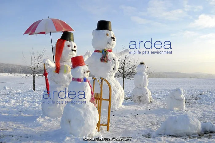 : Snowman Family with animal figures, winter landscape Snowman : Snowman Family with animal figures, winter landscape Snowman