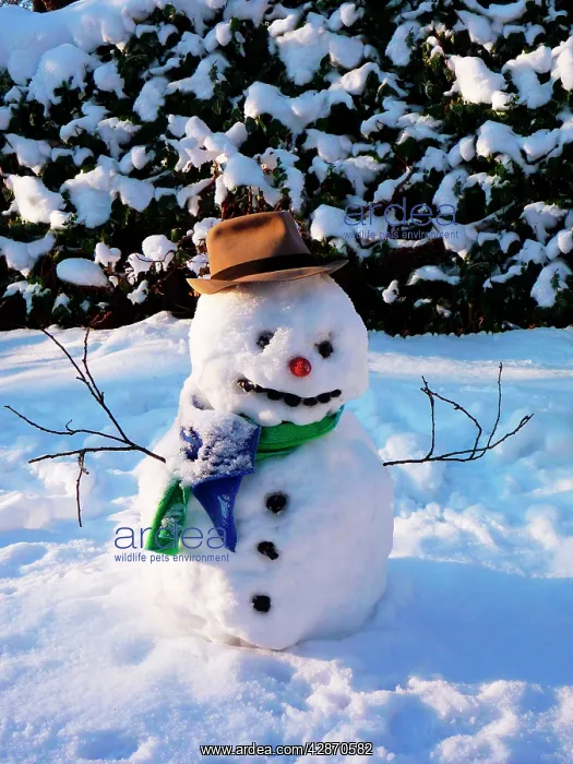 : Snowman - with scarf & hat in winter scene : Snowman - with scarf & hat in winter scene