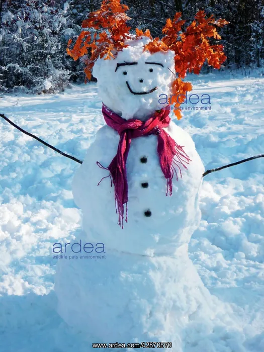  : Snowman - with scarf in winter scene