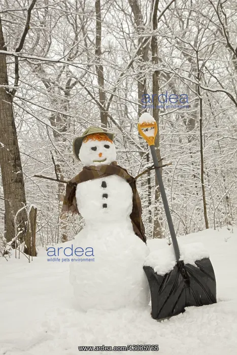 : snowman, Washington D.C. area, Maryland, March : snowman, Washington D.C. area, Maryland, March