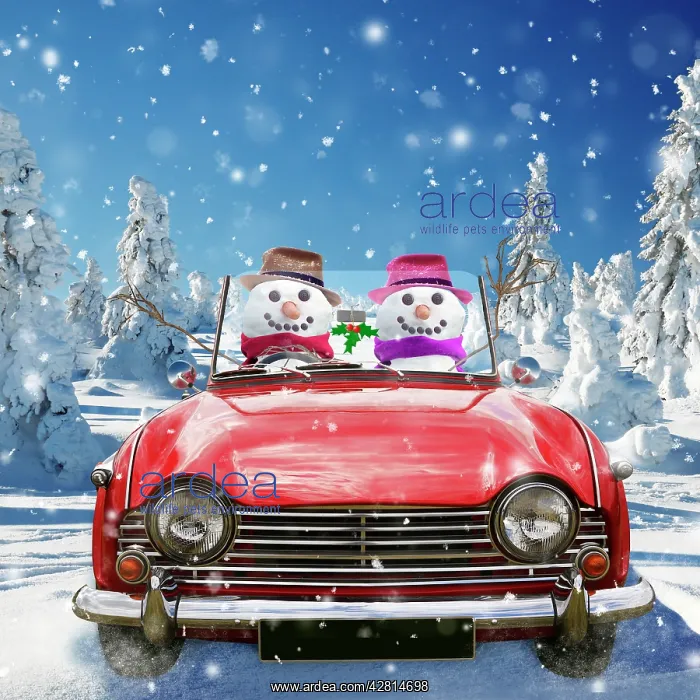 : Snowman - waving driving car through winter scene : Snowman - waving driving car through winter scene