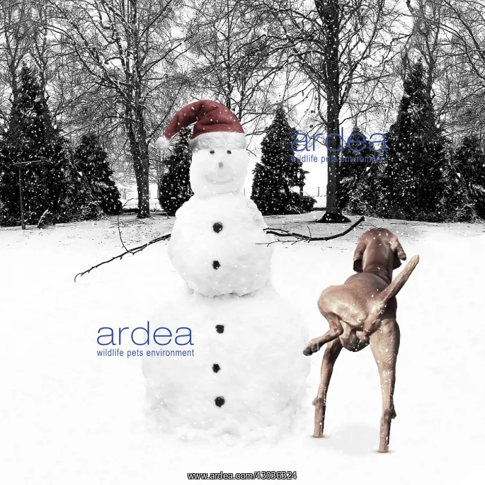 : Snowman wearing Christmas hat in winter snow : Snowman wearing Christmas hat in winter snow