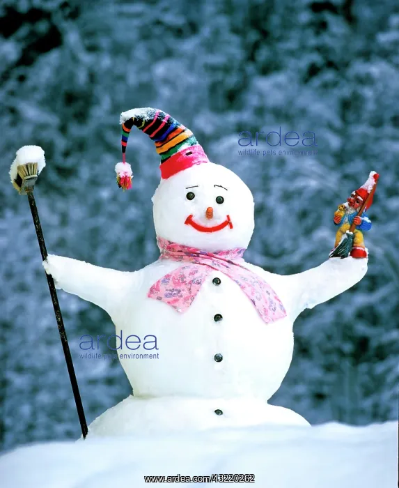 : Snowman in winter, hat, scarf, broom : Snowman in winter, hat, scarf, broom
