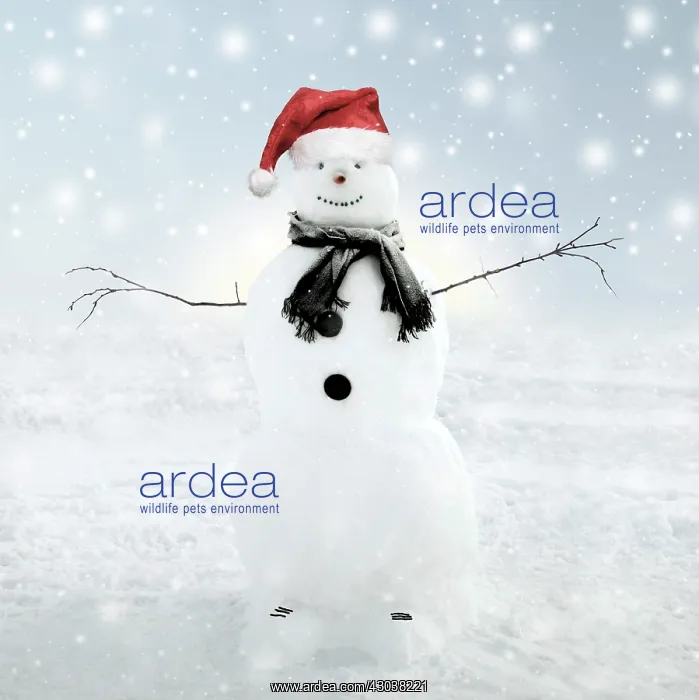  : Snowman in winter wearing Christmas hat