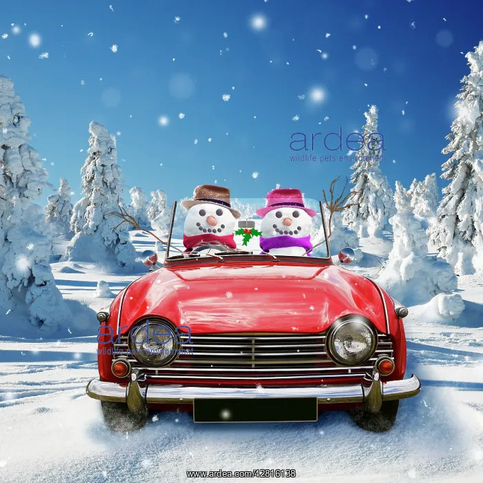 : Snowmen - waving - driving car through : Snowmen - waving - driving car through